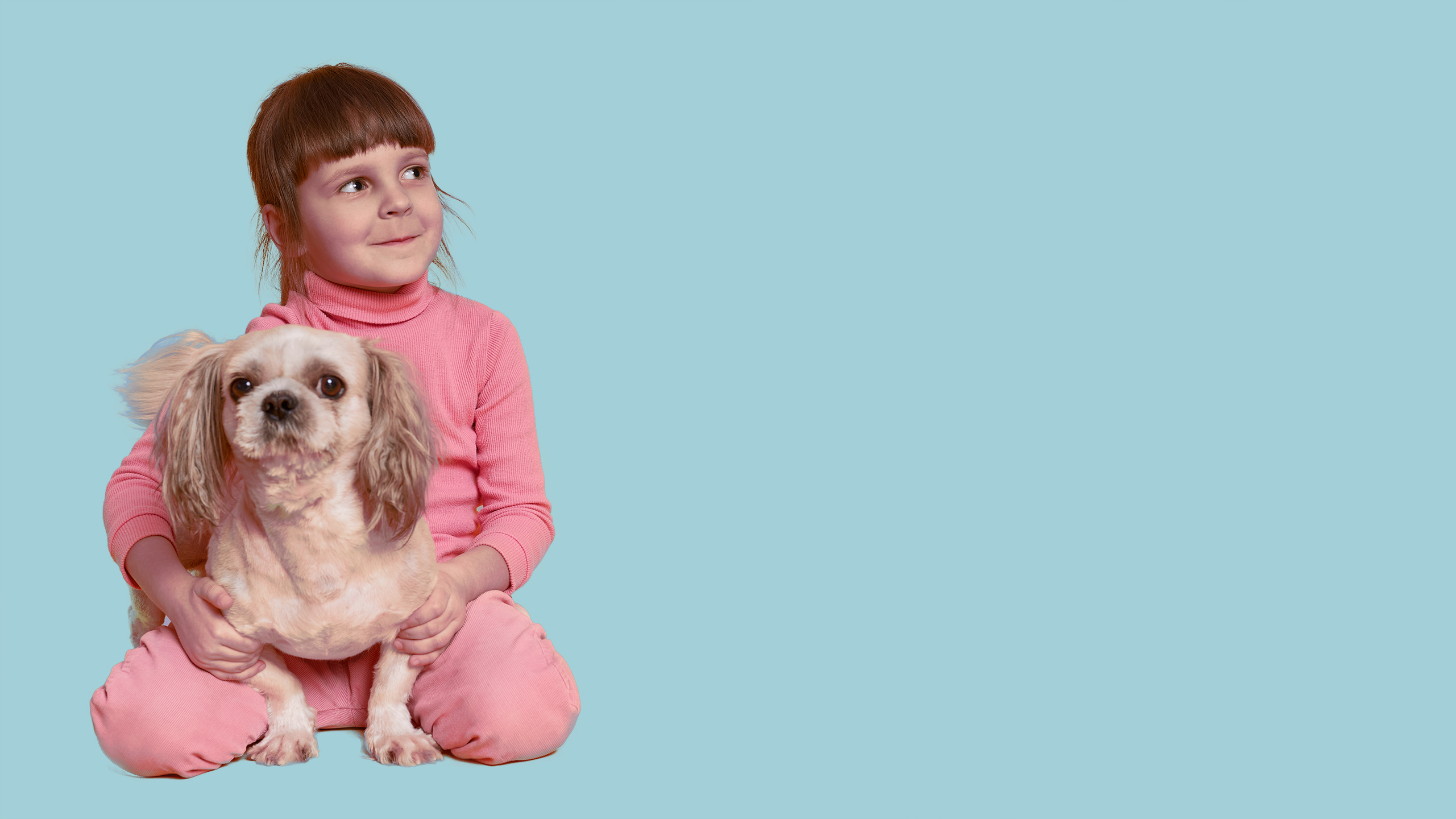 Paws 'N' Board "Summer Pet Care Classes" page blue background